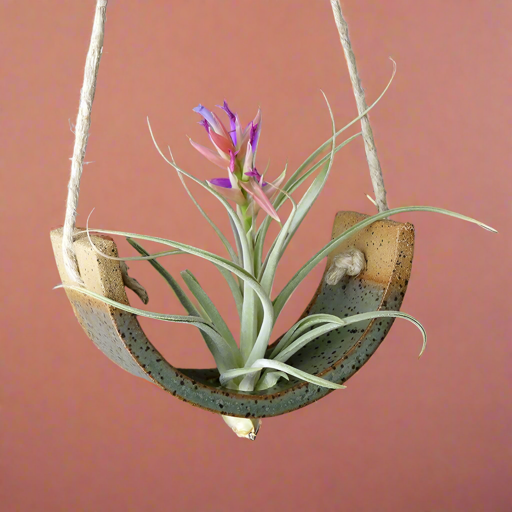 Small Hanging Air Plant Cradle - Gunmetal Green Planter Vase