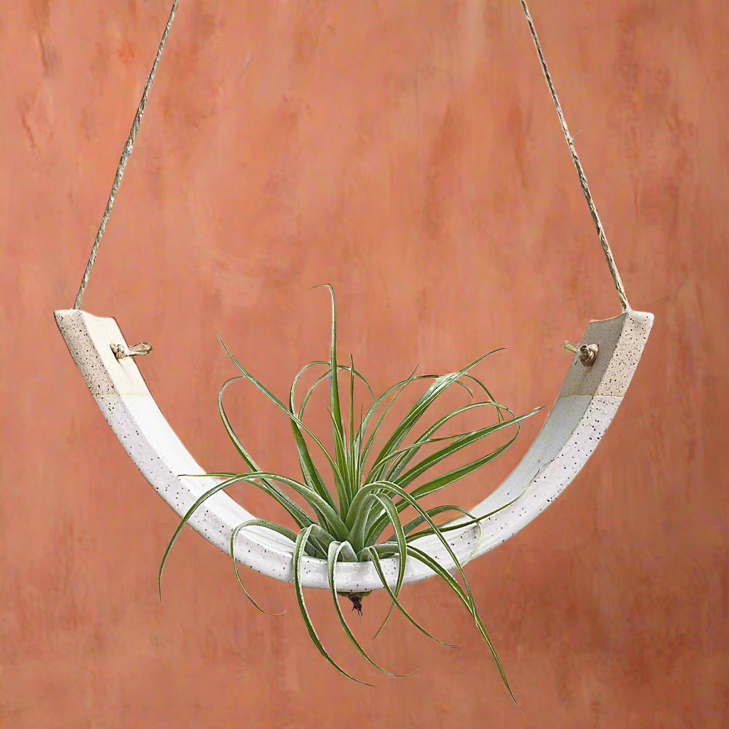 Hanging Ceramic Air Plant Cradle Gloss White Speckled Buff