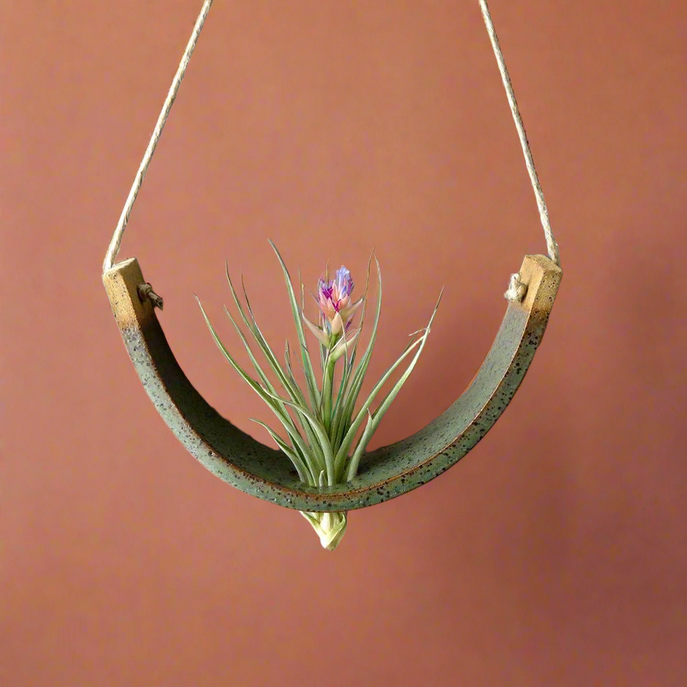 Hanging Air Plant Cradle - Gunmetal Green Planter Vase